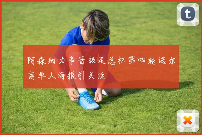 阿森纳力争晋级足总杯第四轮诺尔高单人海报引关注